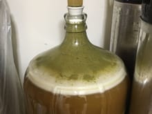 very active fermentation.  green is hop debris, white is the krausen.
