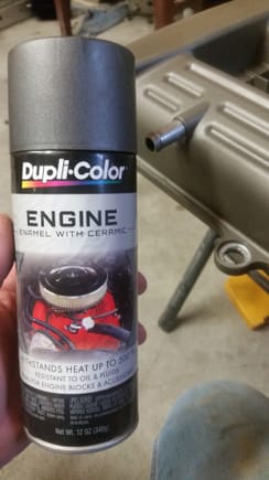 The paint that GBRunner24 was asking about.
