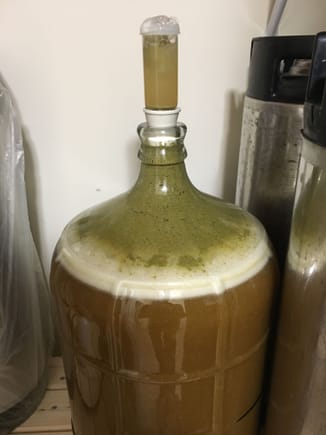 very active fermentation.  green is hop debris, white is the krausen.