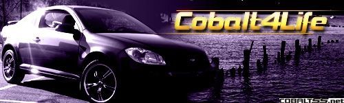 cobalt4life 672704