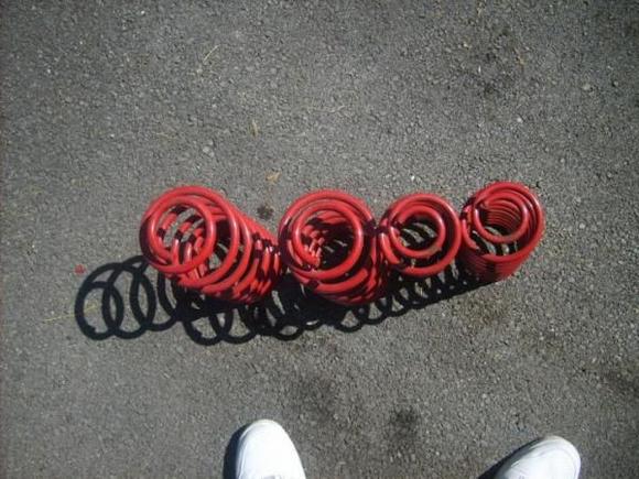 eibach springs top