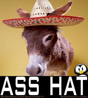 ass hat