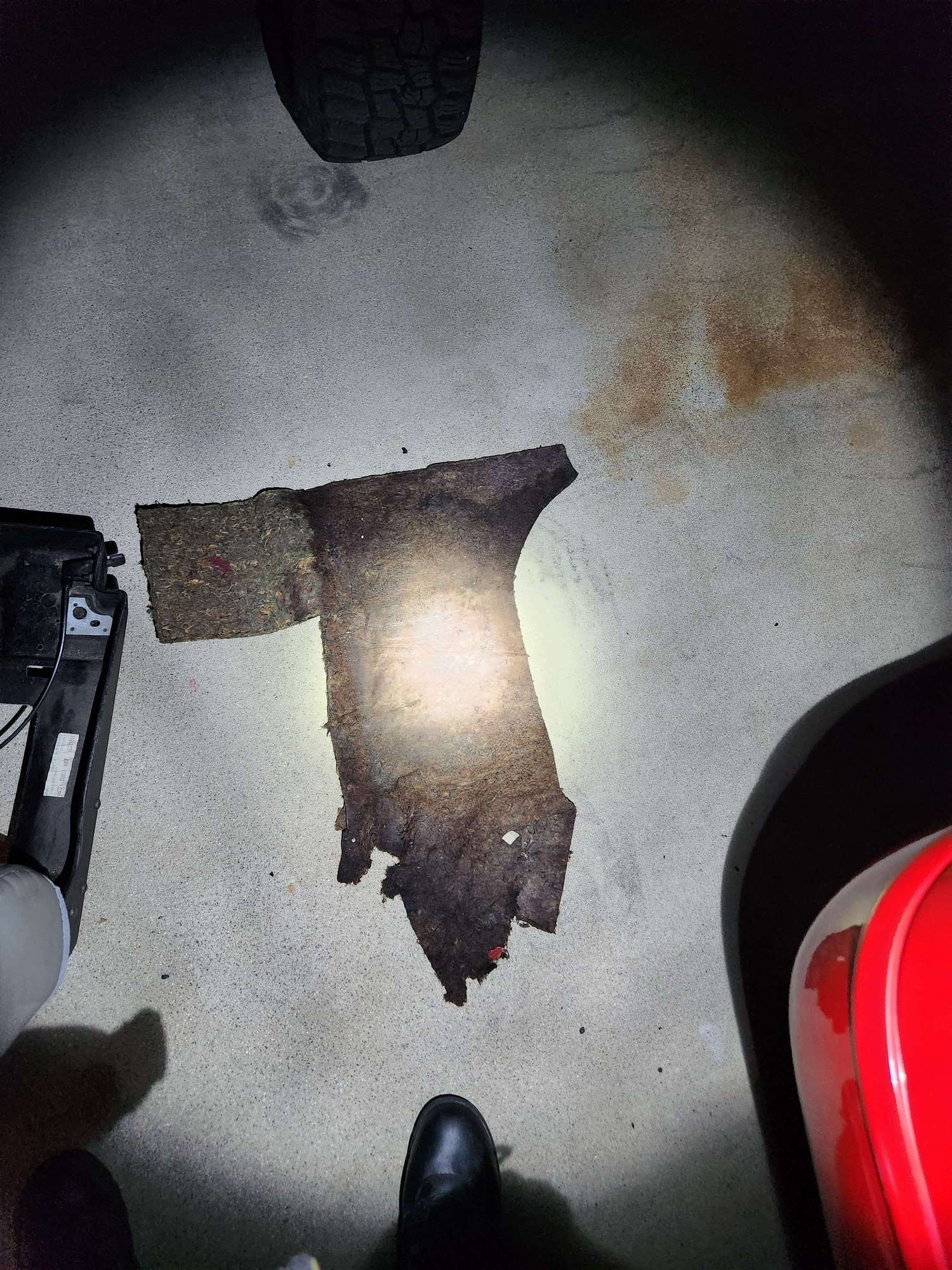 The Echoes Of Infamy: Sophie Raiin'S Post Leak Journey - z3mwoas