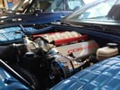 (Engine SWAP)  LS3 6.2 Liter (Stroked to 427ci) 1999 C5, Nassau Blue, Coupe