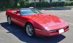 Poppy's Vette