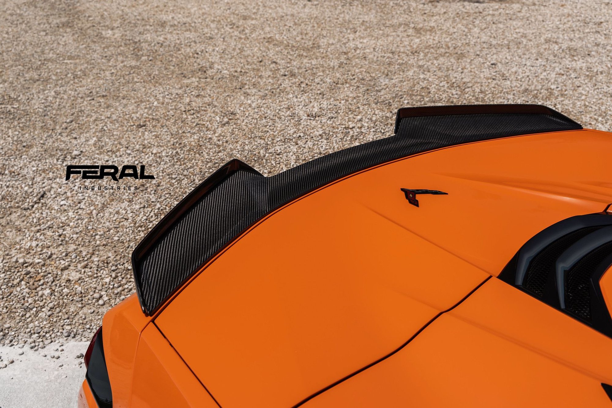 Carbon Fiber Rear Low Wing