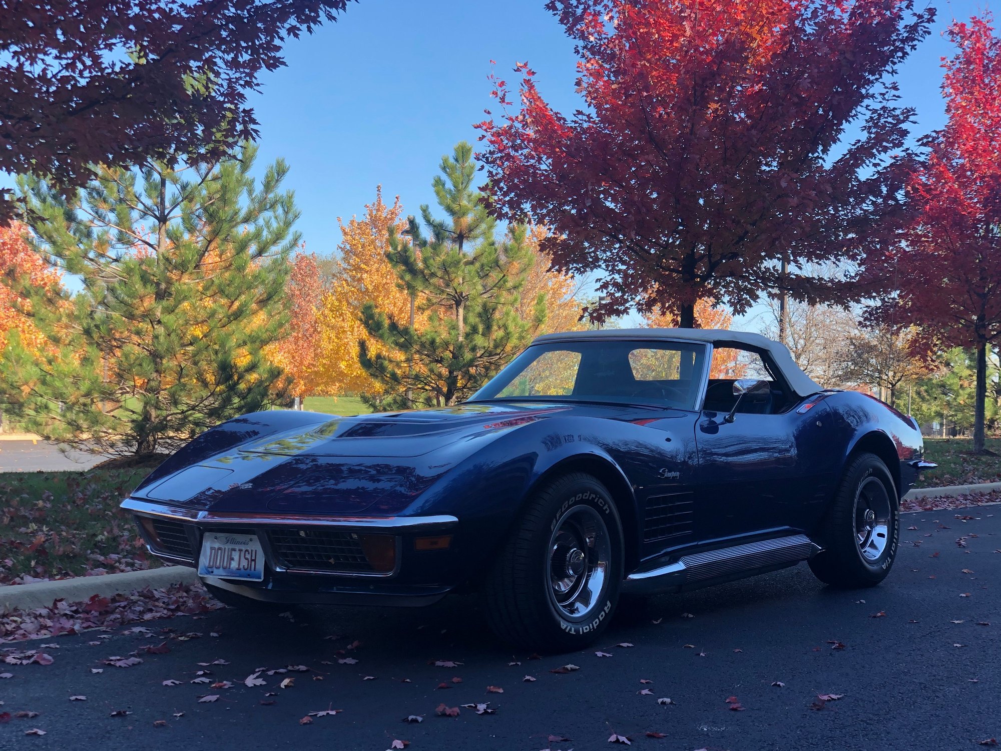 Wish my old phone took better quality pictures. 