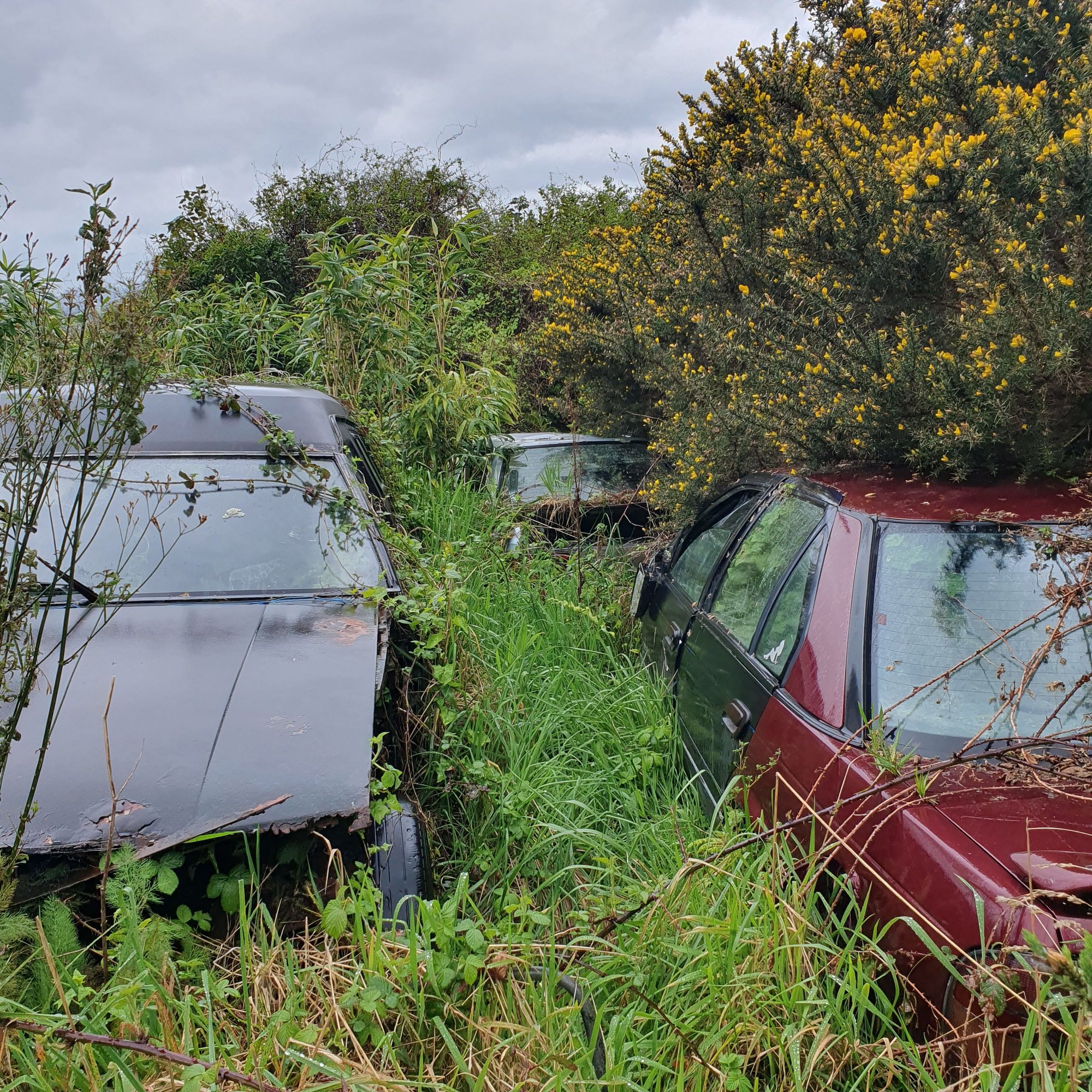 Abandoned cars?