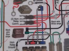 shows large black wire from horn relay to altenator.