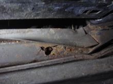 Birdcage holes around windshield - but frame is very solid