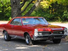 67 GTO 465 CI 5 speed Tremic