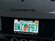 License plate frame 