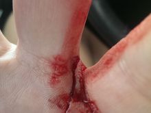 My Post Pictures
