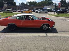How often to you see these on the streets