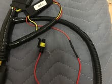 Harness with AMP connector
