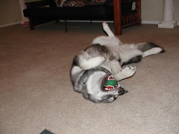 She loves balls