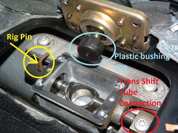 Shifter Rigging