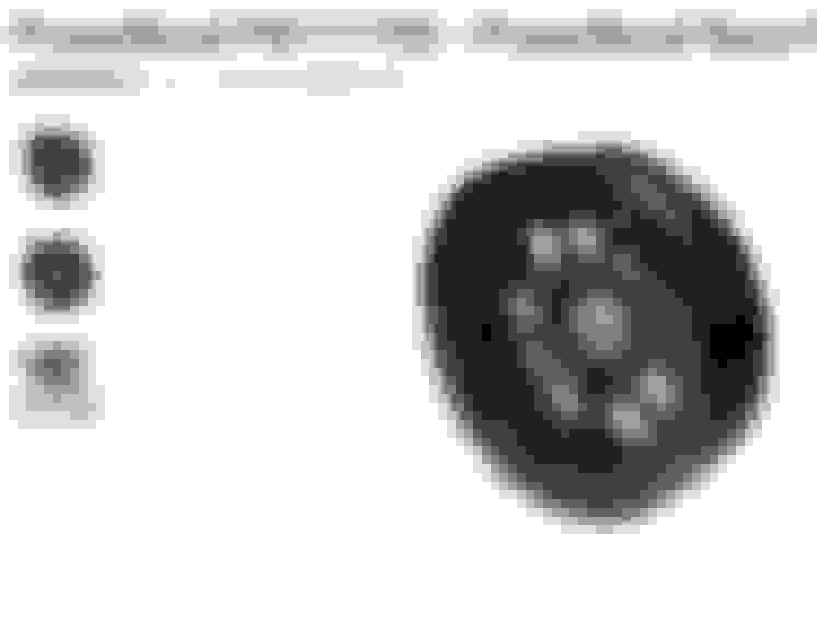Powerbond Harmonic balancer CorvetteForum Chevrolet Corvette Forum Discussion