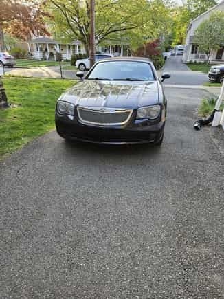 The grille on my car when I got home from buying it.