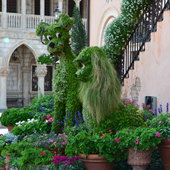 Topiary in front of Italy.