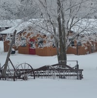 Winter view from the prairie garden