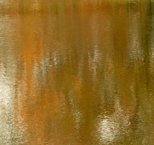 Autumn color reflections in the Catfish Pond - Angel Mountain, Ashe County, NC