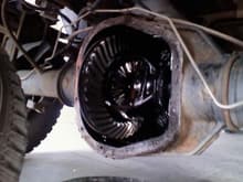 Exposed Rear Diff gears, (changin the oil)