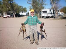 Pheasant hunt 3