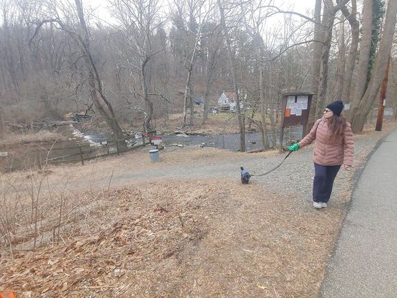 Ridley State park 