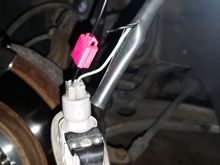 Fender (-) to Front DRL positive (+)