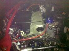 my little baby!!!!! (side view)