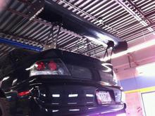 New Kognition wing... yes its pretty big.