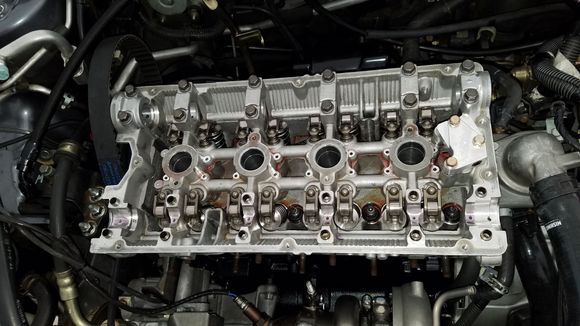 Lifters and rocker arms installed with plenty of Amsoil Break in 30 weight to go around.