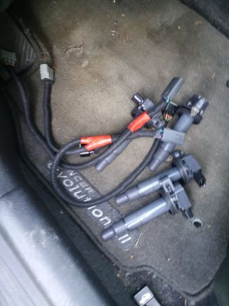 this is my harness after i finished,just waiting to be installed!