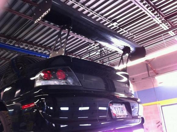 New Kognition wing... yes its pretty big.