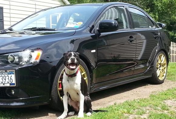 MY 2009 Ralliart and it's Guard Dog Max