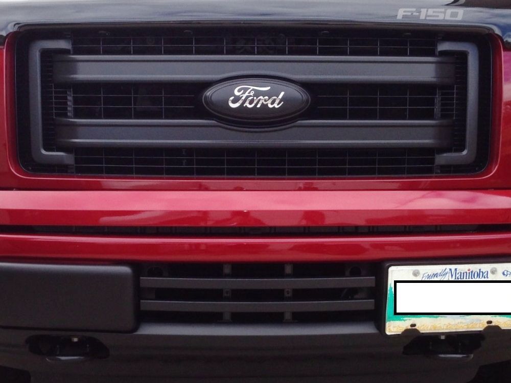 2017 Ford F-150 Front License Plate Bracket