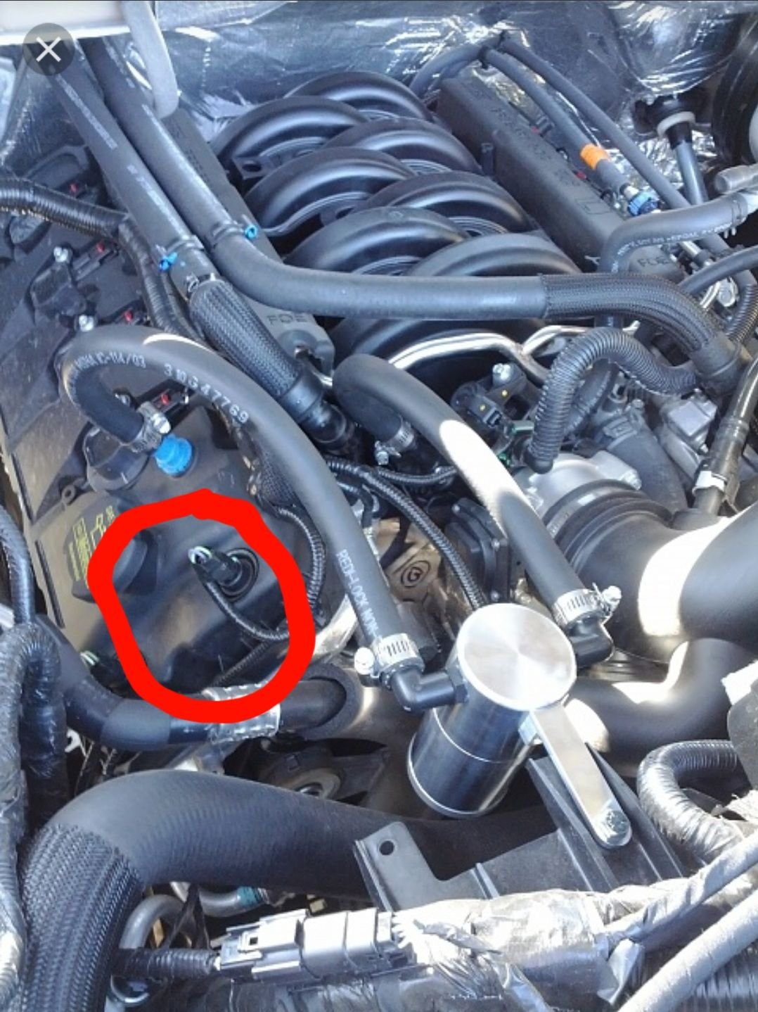 top engine oil leak 5.0 Ford F150 Forum Community of Ford Truck Fans