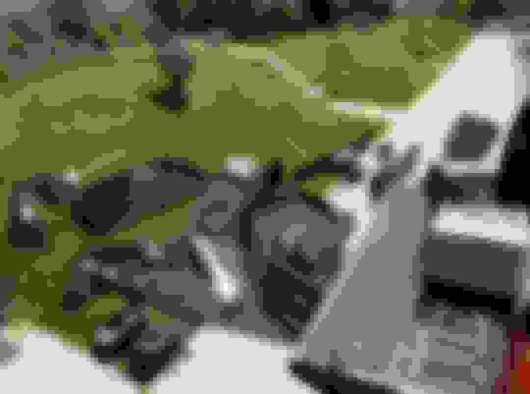 2015 Ford F150 Mini Raptor Build - Ford F150 Forum - Community of Ford ...