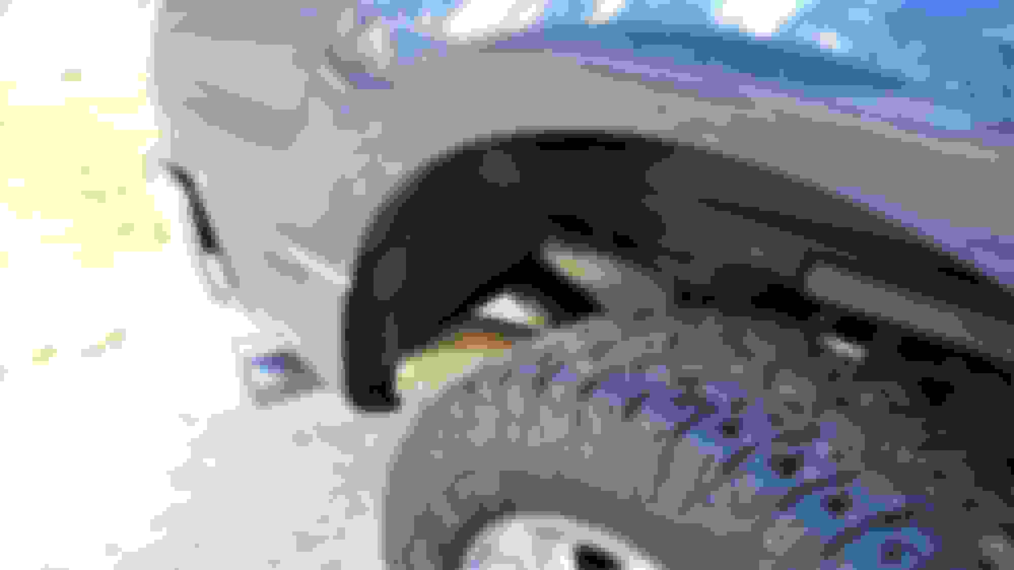 Wheel well liners? Ford F150 Forum Community of Ford Truck Fans