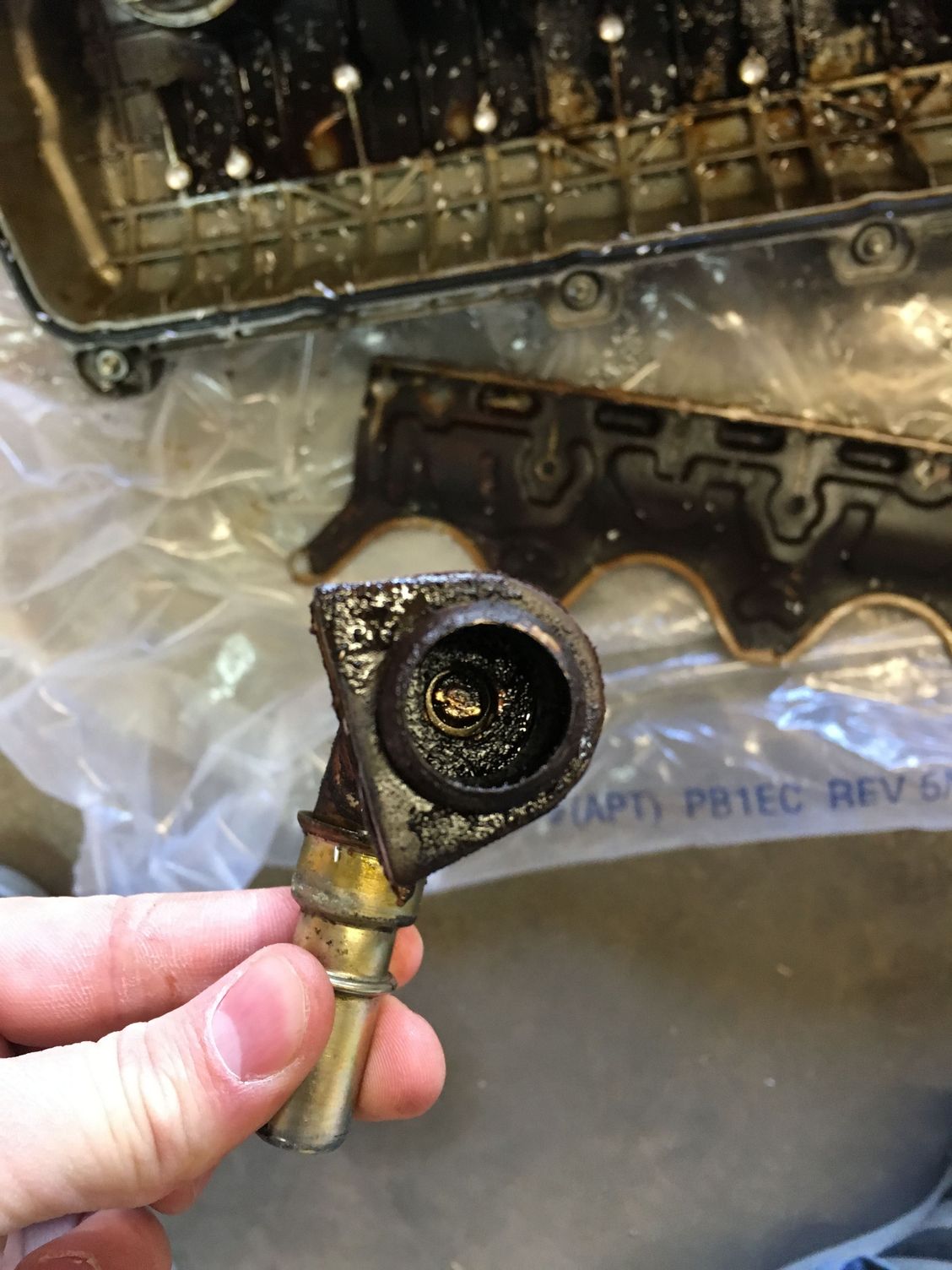 2007 F150 5.4 PCV valve? Ford F150 Forum Community of Ford Truck Fans