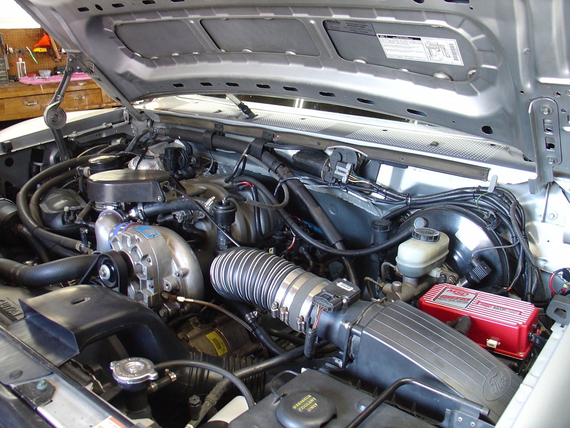 2020 piston, cammed, GT40 headed 302 covid boredom build Ford