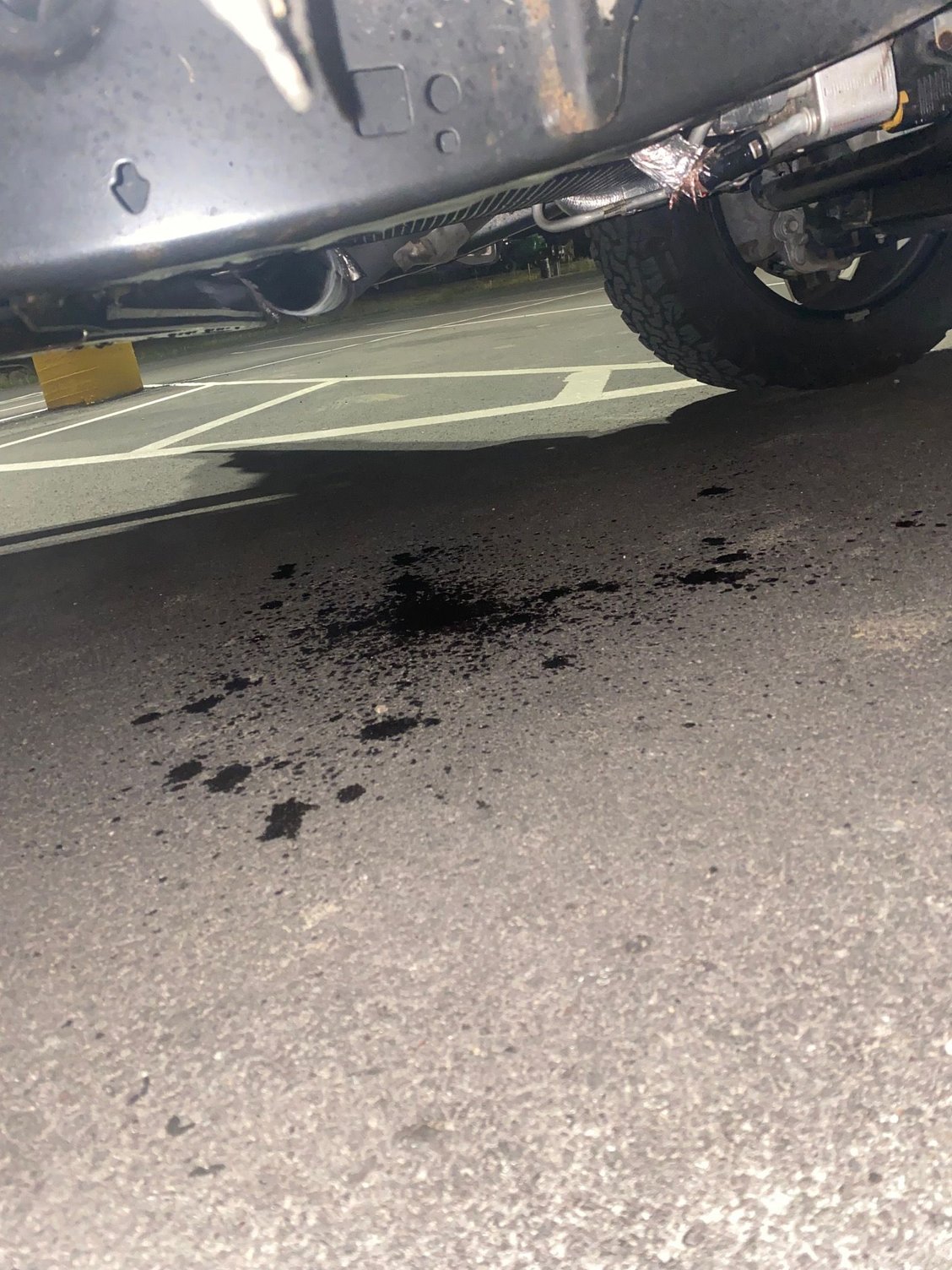 Possible Transmission Fluid Overfill? Ford F150 Forum Community of