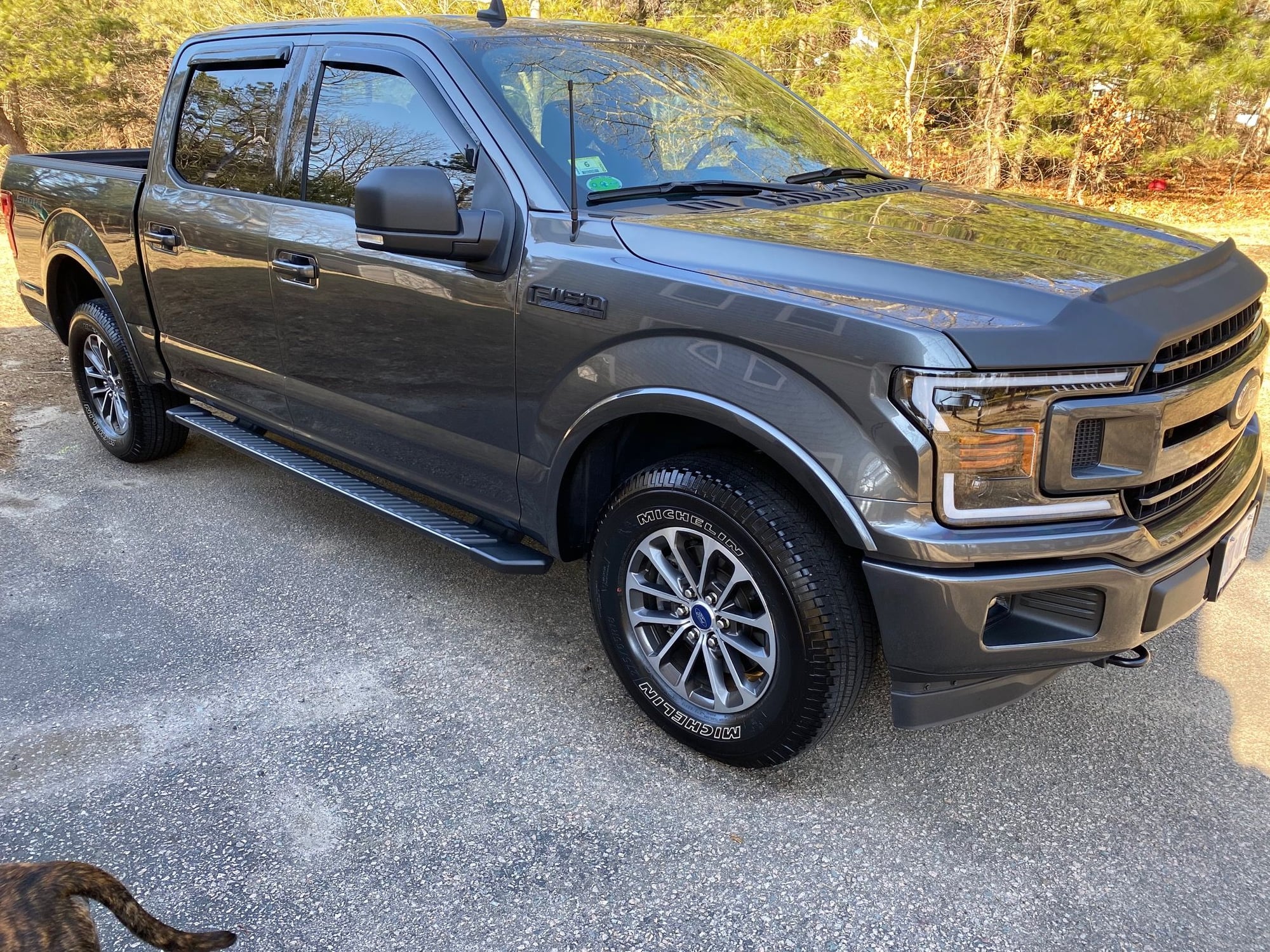 New Ford F150 Exterior Parts for Living room