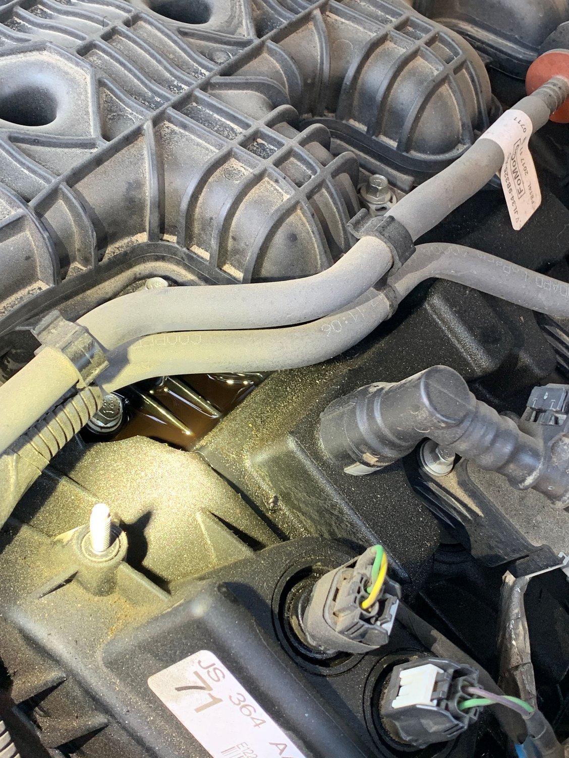 Head gasket oil leak Ford F150 Forum Community of Ford Truck Fans