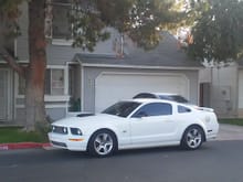 Becky's 2007 Mustang GT Premium