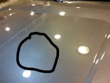 Paint flaw on 2013 F-150 Sterling Gray hood.