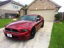 Had to get a 2014 mustang