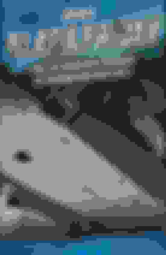 RCI Off Road Black Friday Sale!! Ford F150 Forum Community of Ford