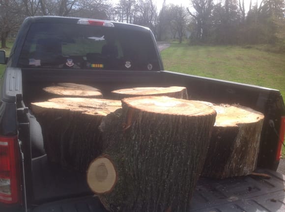 Hauled away the 40' Maple tree trunk sections from my back yard, then washed the truck.